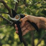 PRUNER SOLID BYPASS P321