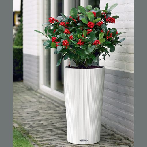SELF- WATERING FLOWER POT CILINDRO COLOUR