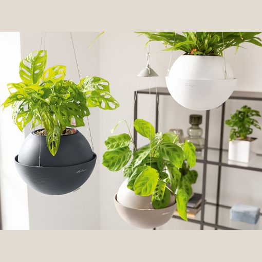 SELF- WATERING HANGING FLOWER POT BOLA COLOUR