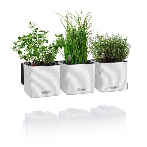 WALL- MOUNTED SELF- WATERING FLOWER POT SET GREEN WALL HOME KIT COLOUR